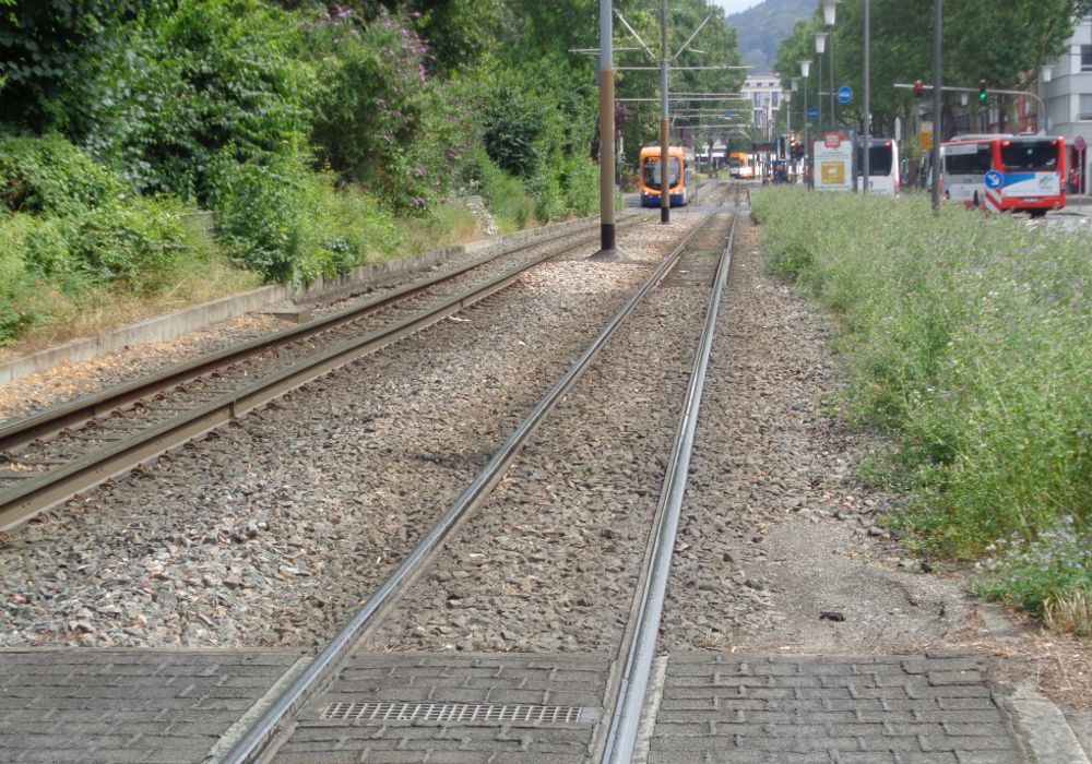 Mobilitätsnetz Heidelberg, Hauptbahnhof Nord, Straßenbahntrasse Kurfürstenanlage